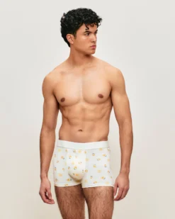 Online Boxer en coton otif citron Homme Boxers À Motifs